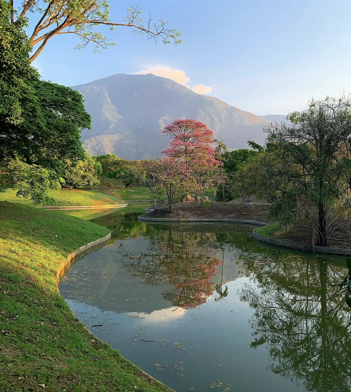 East Park 8